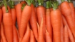 Статья. Морковная диета на 10 дней, диета на морковном соке 4 дня
