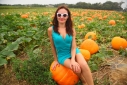 Американское село: фестиваль урожая HANK&#039;S PUMPKINTOWN, the Hamptons, NY