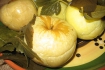 Рецепт. Моченые яблоки в медовом маринаде