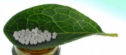 Статья. Гомеопатия польза или вред, как действуют гомеопатические препараты средства