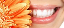 Статья. Как правильно чистить зубы, как отбелить зубы в домашних условиях, укрепление зубов