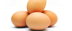 Статья. Яичная диета, диета на яйцах, куриные яйца для похудения, диета яичная 4 недели