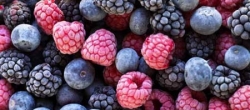 Статья. Замороженные овощи и фрукты витамины, вред или польза, замороженные ягоды