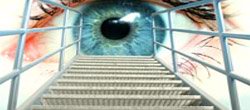 Статья. Зарядка для глаз, как сохранить зрение, упражнения для глаз, улучшить зрение